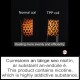 VooPoo TPP Coil Heads - TPP Coils VooPoo TPP Coil Heads - SubOhm Coils